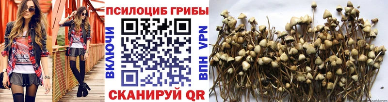 Галлюциногенные грибы GOLDEN TEACHER  Шиханы 